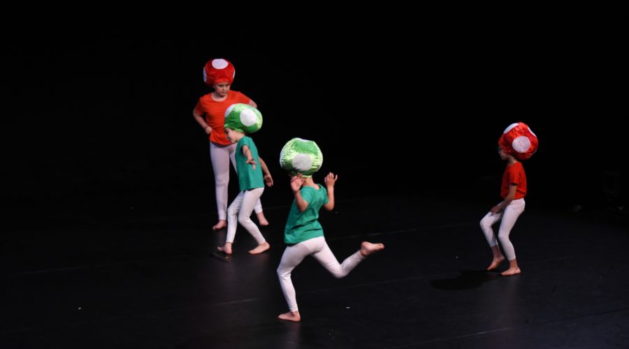 SARAH BOY SPECTACLE 2019 638 (2)